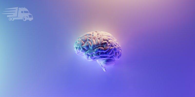 Зона надійності: як перевірити перевізника перед співпрацею